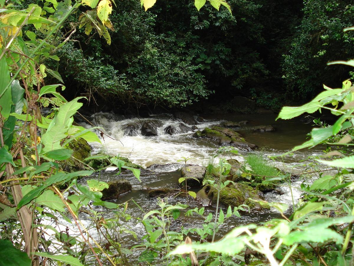 Koi Koi, Fort Portal Kasusu Bagian luar foto