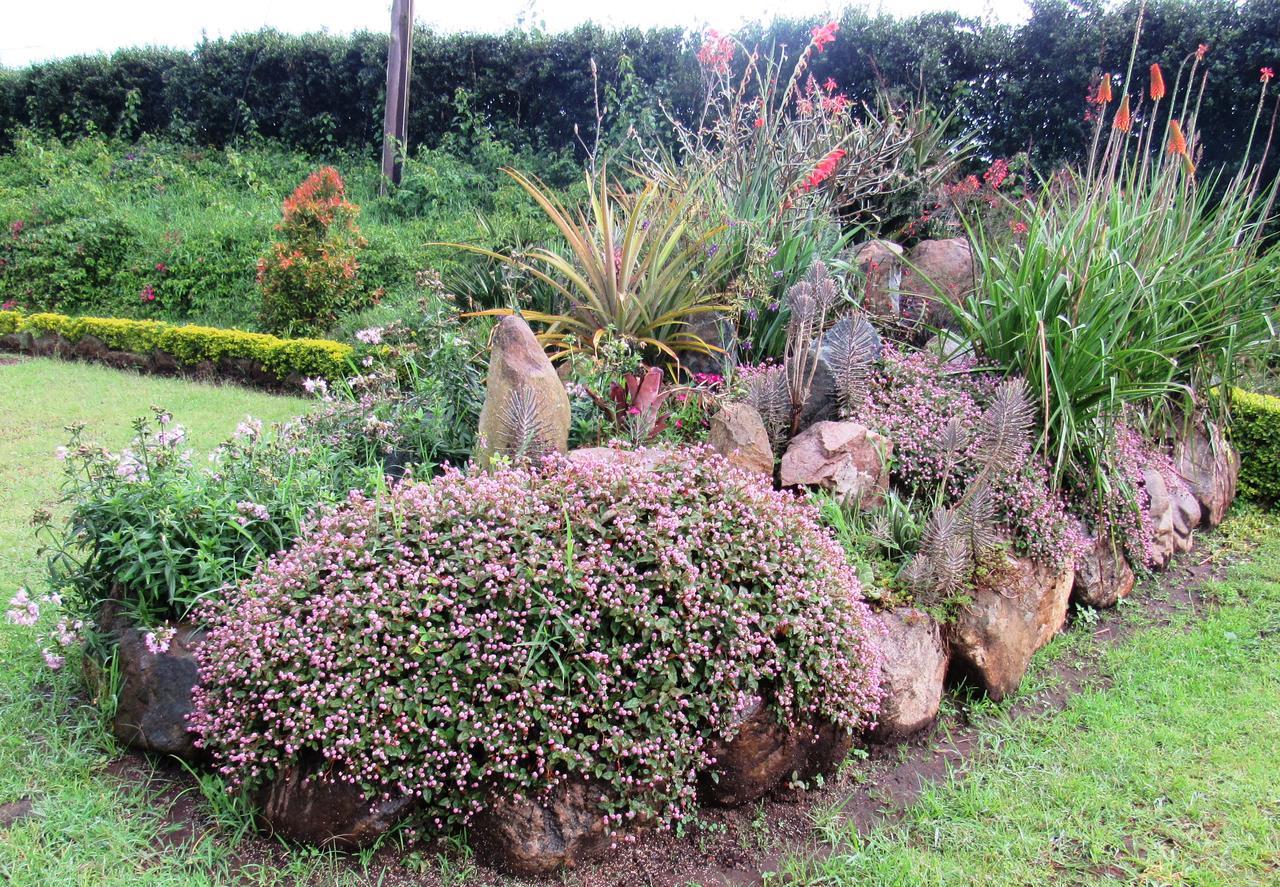 Koi Koi, Fort Portal Kasusu Bagian luar foto